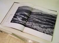 Ticky Tacky Little Houses?  A Necklace of Houses?