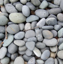 "With others, ground as smooth and pointless as they"