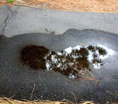 Puddle Heart
