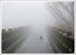 4415428193_0e415b884a